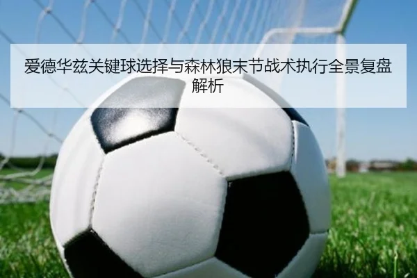 爱德华兹关键球选择与森林狼末节战术执行全景复盘解析